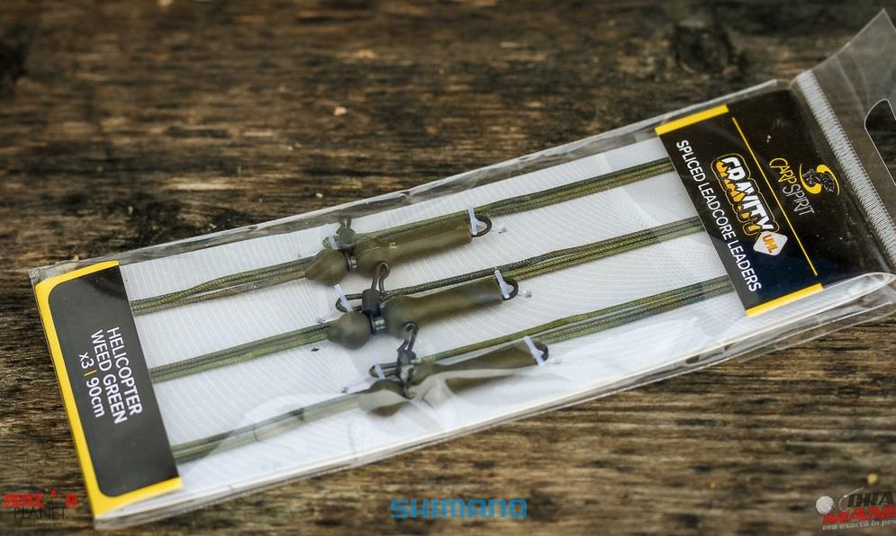 CN 2017 - carp-spirit.jpg